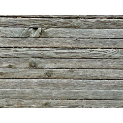 Tratarea chimică a lemnului